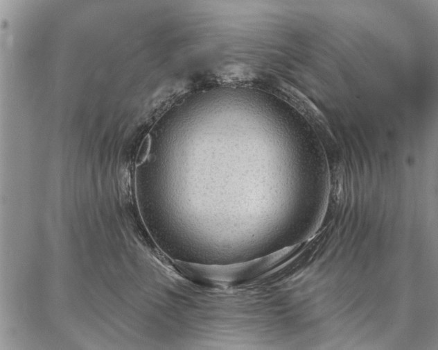 X0000086880523200704231106