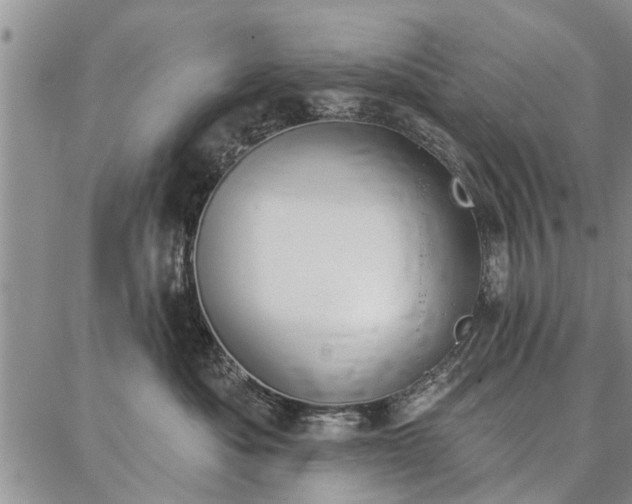 X0000086880525200704231106