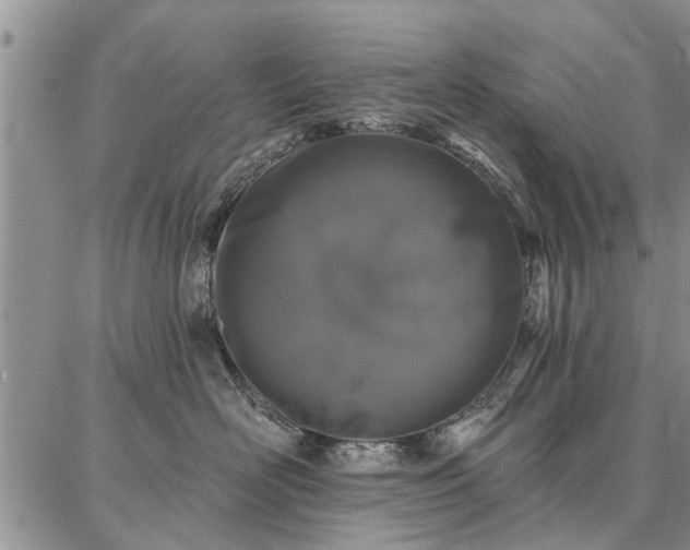 X0000086880526200704231106