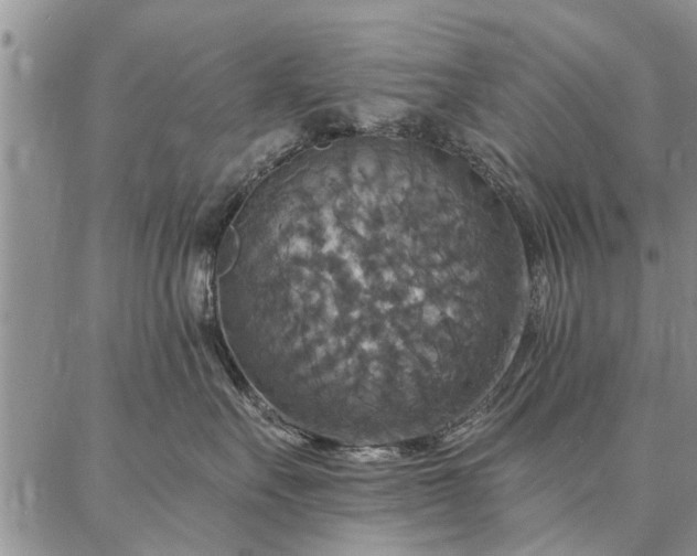 X0000086880527200704231106