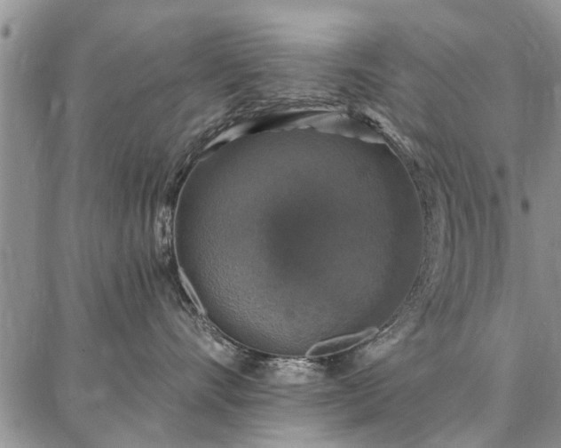 X0000086880528200704231106