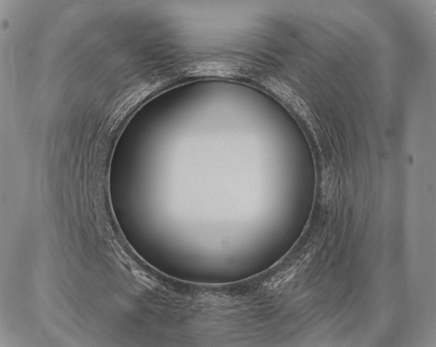 X0000086880529200704231105