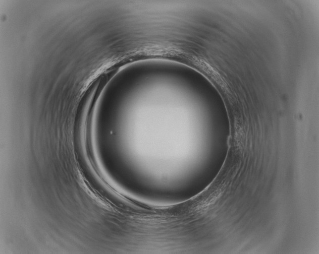 X0000086880530200704231105