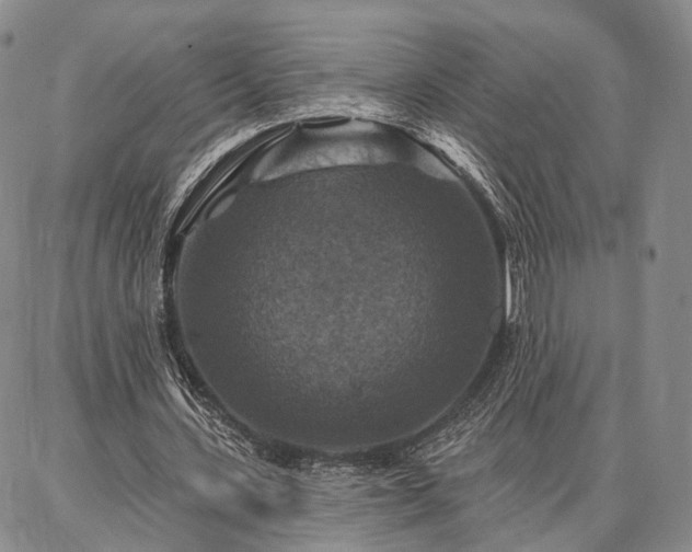 X0000086880531200704231105