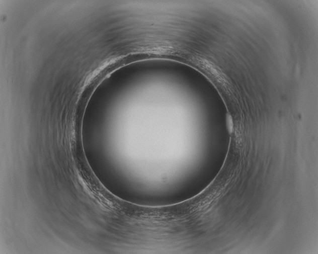 X0000086880532200704231105