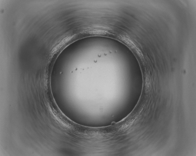 X0000086880533200704231105