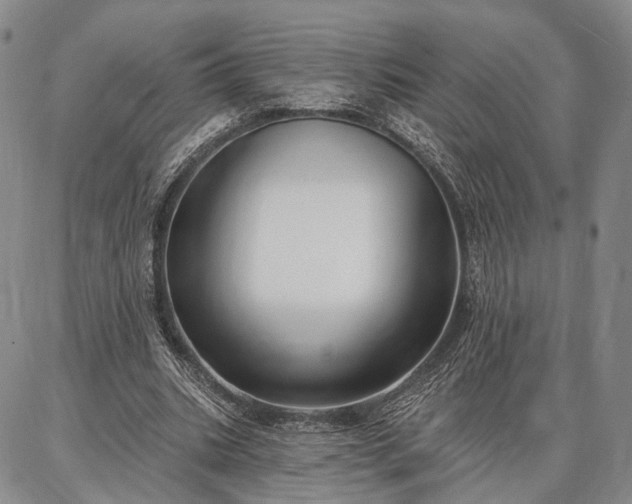 X0000086880535200704231105