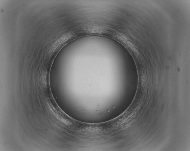 X0000086880537200704231105