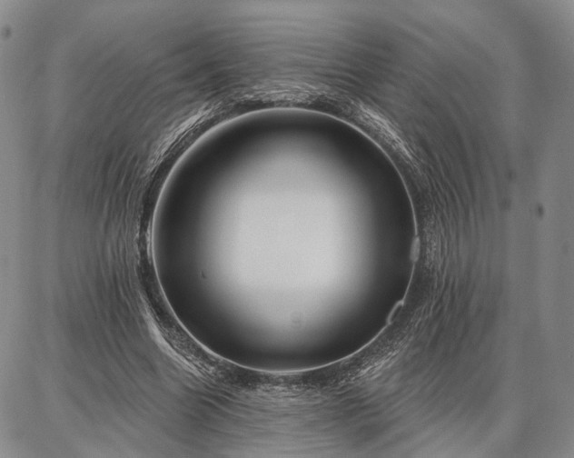 X0000086880538200704231105