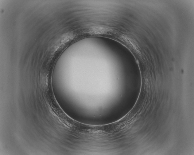 X0000086880539200704231105