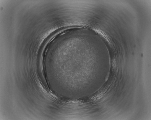 X0000086880540200704231105