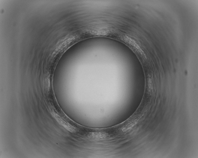 X0000086880541200704231105