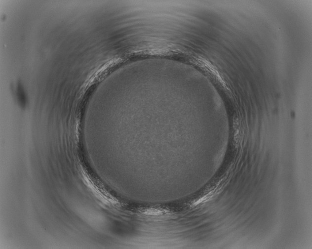 X0000086880542200704231105