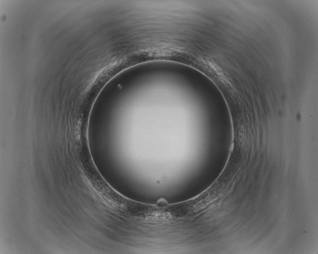 X0000086880543200704231105