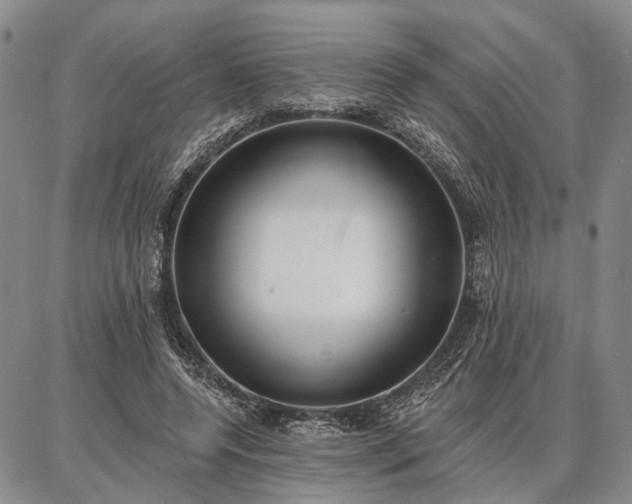 X0000086880544200704231105