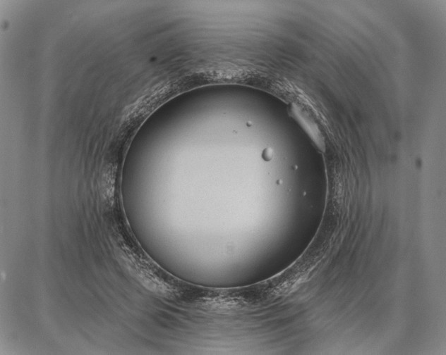 X0000086880545200704231105