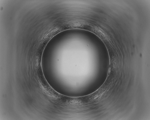 X0000086880546200704231105