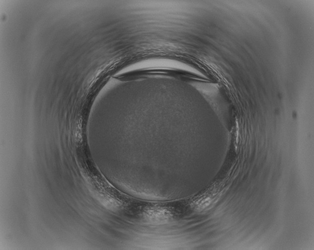 X0000086880547200704231105