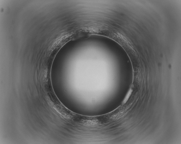 X0000086880548200704231105