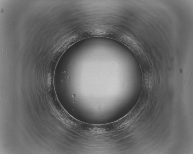 X0000086880549200704231105