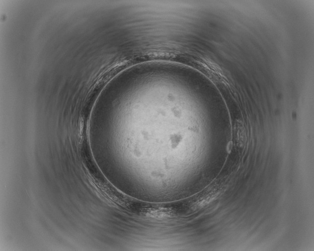 X0000086880550200704231105