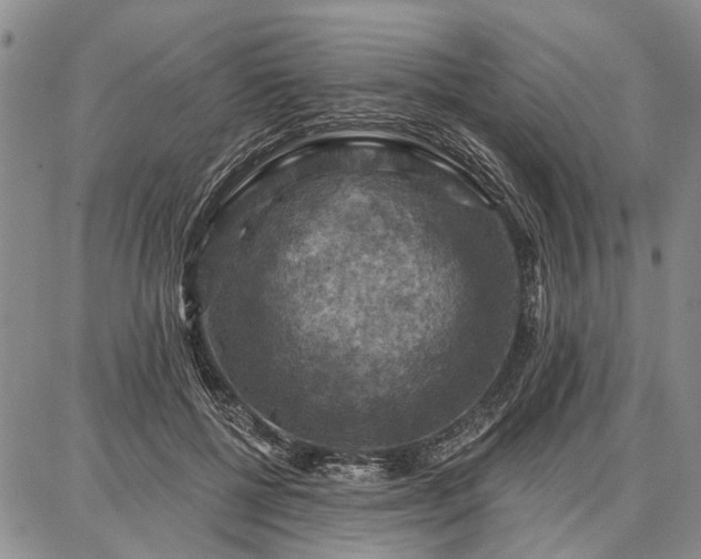 X0000086880552200704231105