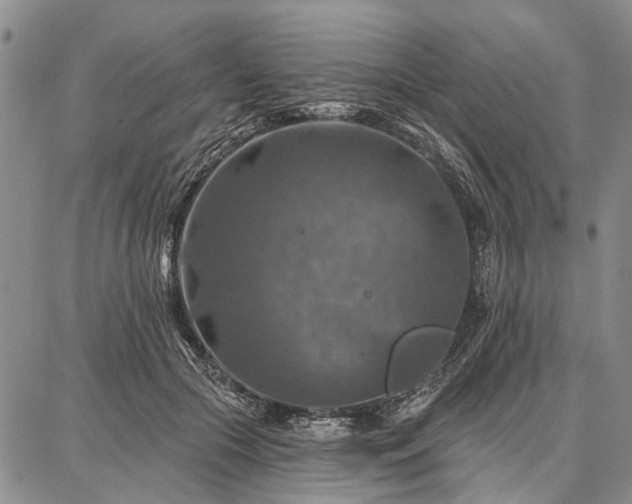 X0000086880553200704231105