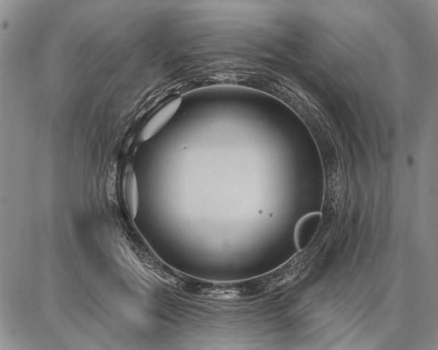 X0000086880554200704231105