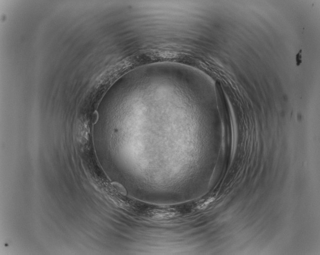 X0000086880555200704231105