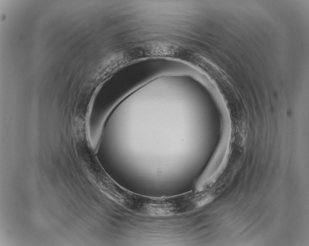 X0000086880556200704231106