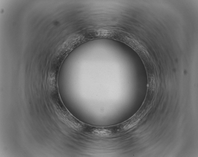 X0000086880557200704231106