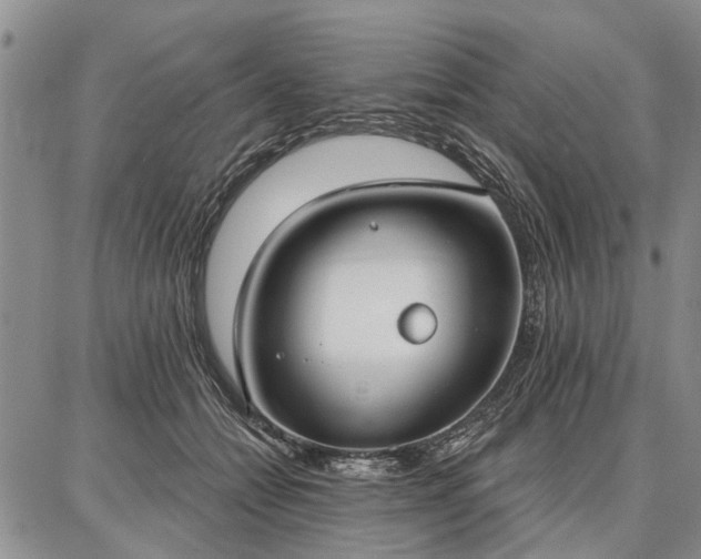 X0000086880558200704231106