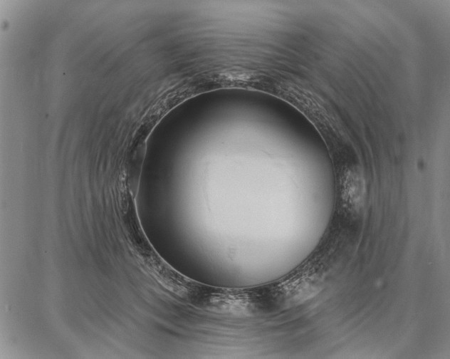 X0000086880559200704231106