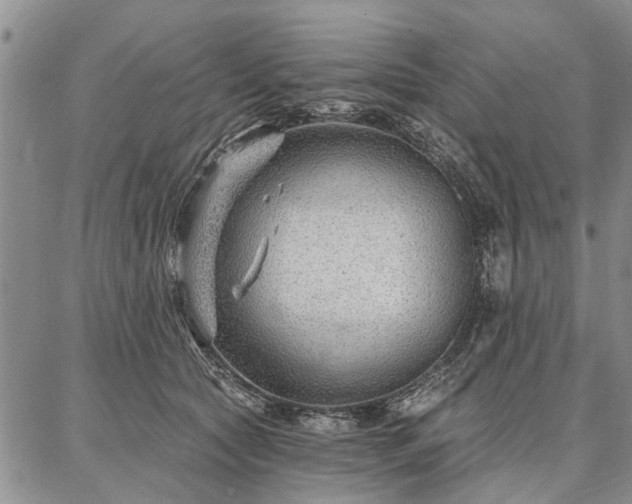 X0000086880561200704231106