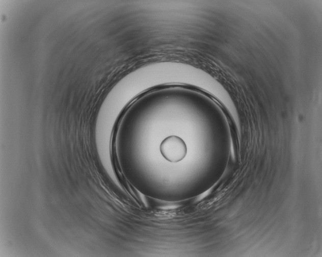 X0000086880562200704231106