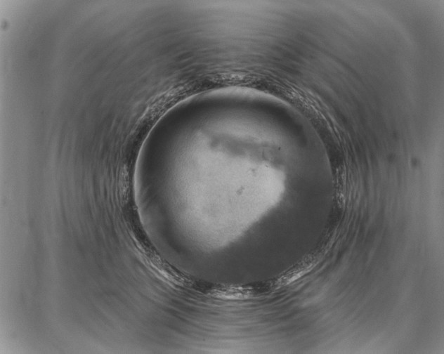 X0000086880563200704231106