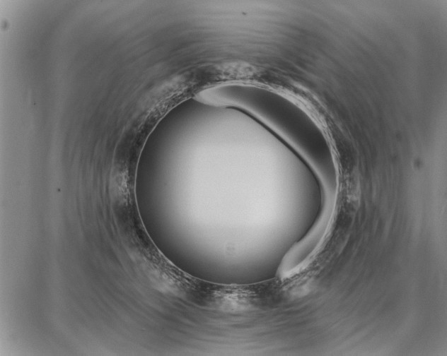 X0000086880564200704231106