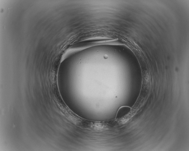 X0000086880565200704231106