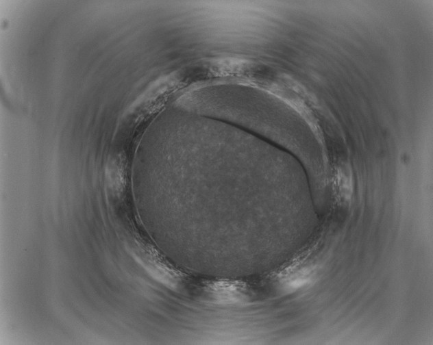 X0000086880566200704231106