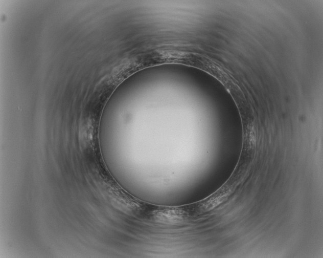 X0000086880567200704231106