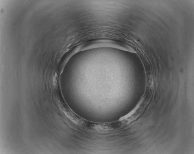 X0000086880568200704231106