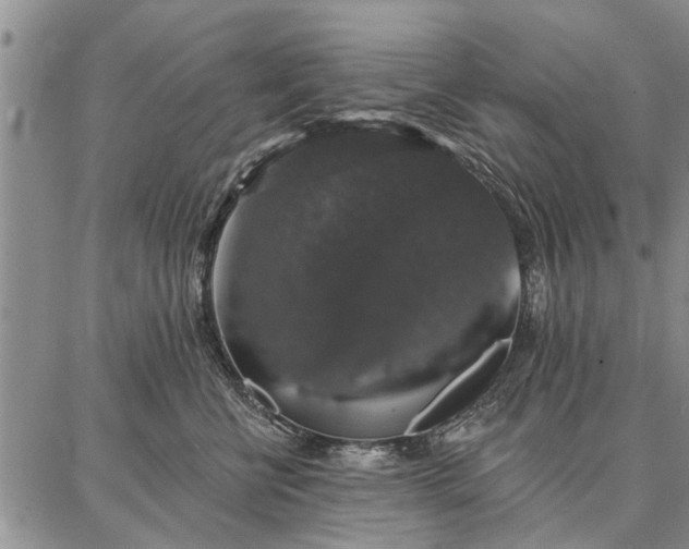 X0000086880570200704231106