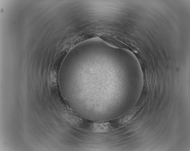 X0000086880571200704231106