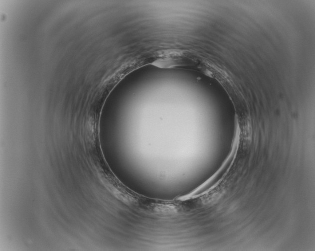 X0000086880572200704231106