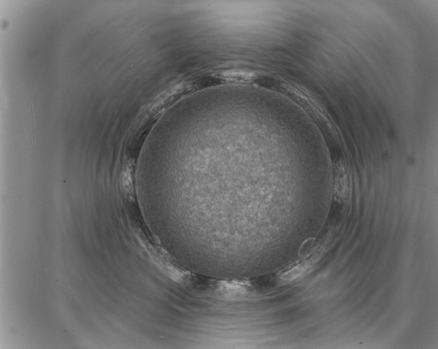 X0000086880573200704231106