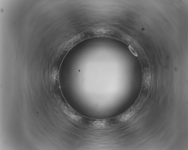 X0000086880574200704231106