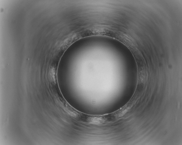 X0000086880575200704231106