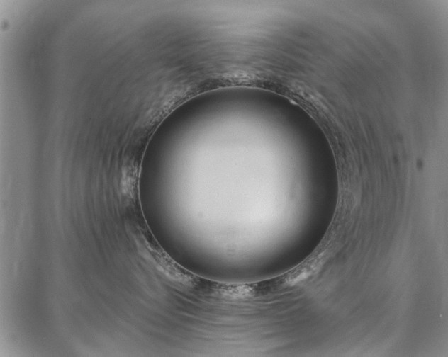 X0000086880576200704231106