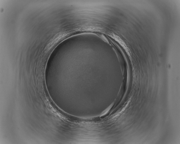 X0000086880577200704231105