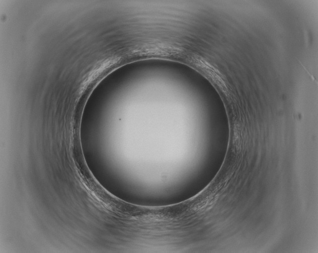 X0000086880578200704231105